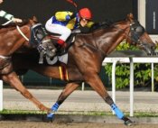 Vaya Condios<br>Photo by Singapore Turf Club